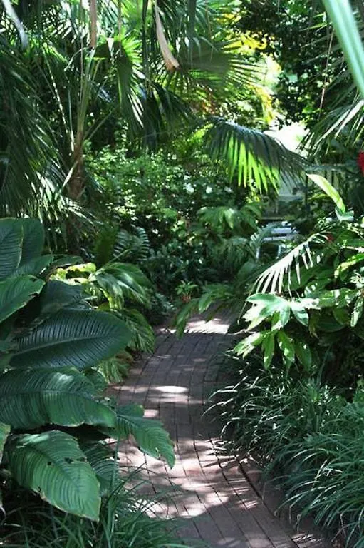 Bed and Breakfast Duval House Cayo Hueso Estados Unidos